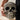Baroque Skull Decor Piece - Midnight Gothic Decor