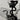 Thorned Serpent Champagne Flute - Midnight Gothic Decor