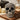 Baroque Skull Decor Piece - Midnight Gothic Decor