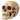 Starry Skull Resin Decor - Midnight Gothic Decor